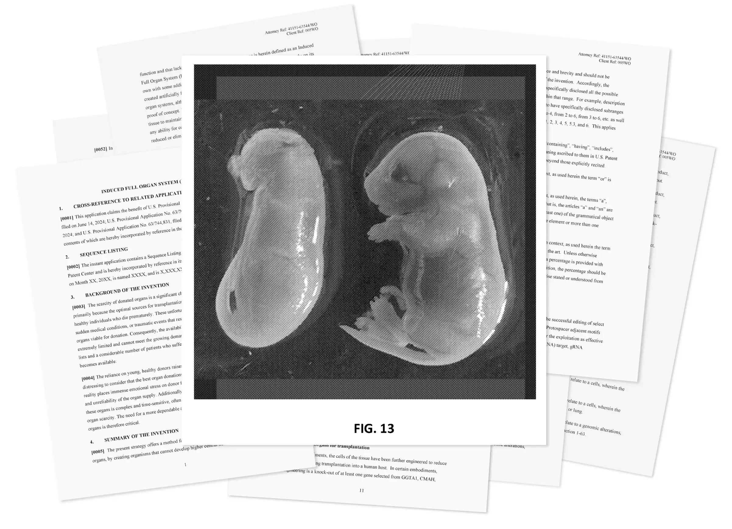 Patent diagram showing an engineered mouse pup lacking anatomical features next to a normal mouse